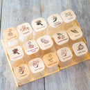 Organiza Gourmet™: Kit 15 Potes de Vidro de 200ml para Temperos (Bandeja Organizadora) (15 Colheres) | FRETE GRÁTIS HOJE!